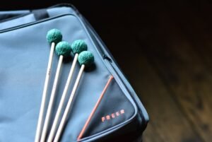 CDS – DUO SOFT CASE